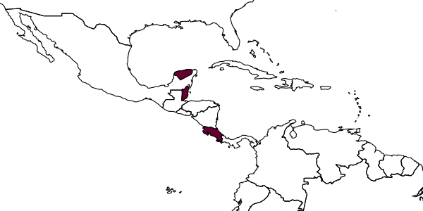 map of Xiphosomella nigroornata     Gauld, 2000
